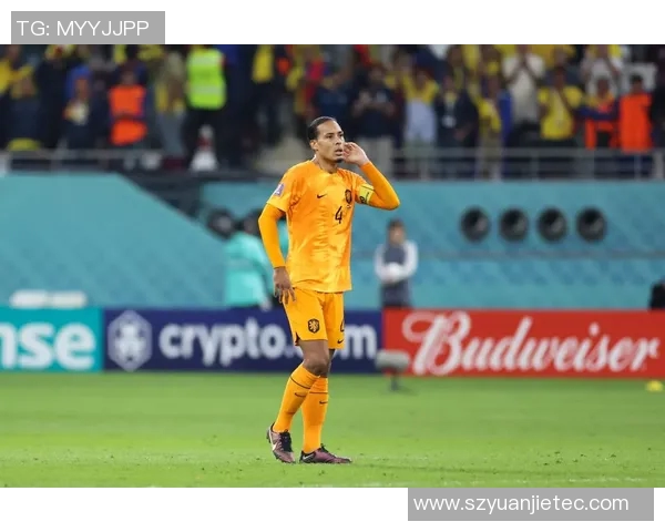 现役荷兰足球明星盘点及其在国际赛场的表现分析